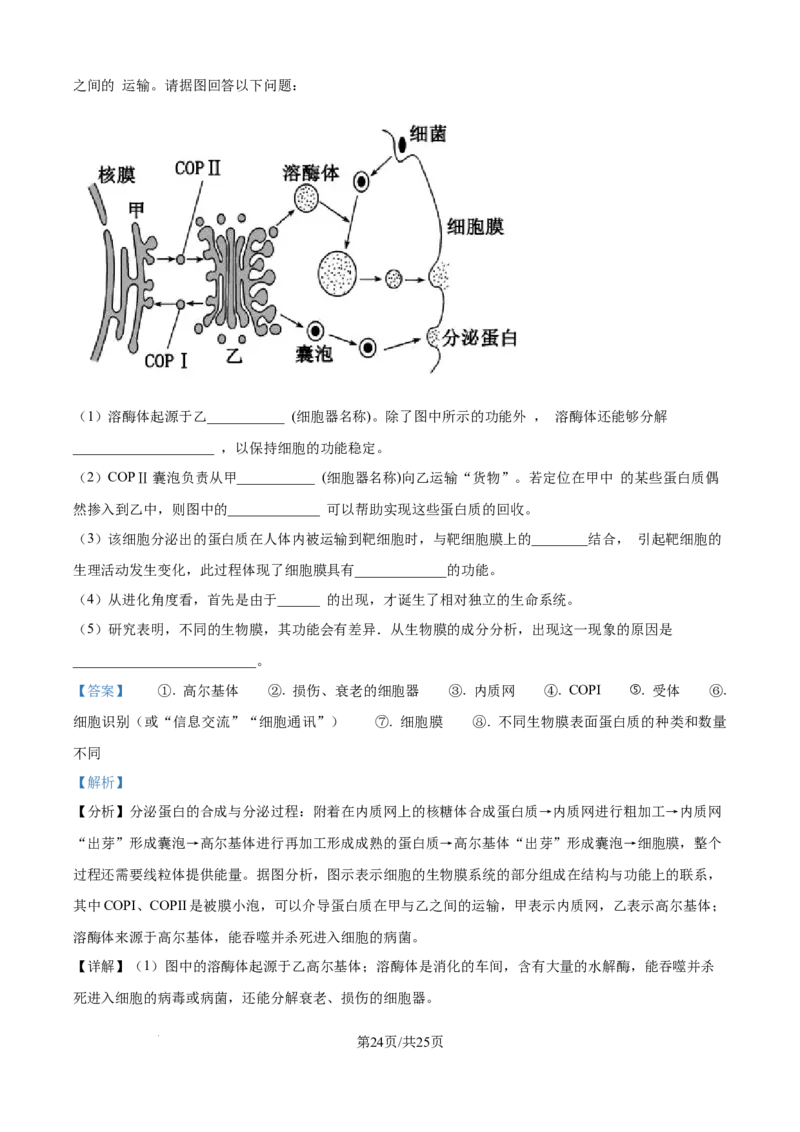 精品解析：江苏省连云港市赣榆区新海高级中学2025-2026学年高一上学期10月月考生物试题（解析版）_2025年10月高一试卷