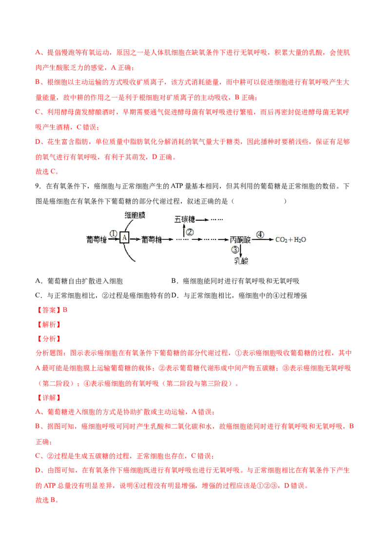 考向05细胞呼吸-备战2023年高考生物一轮复习考点微专题（全国通用）（解析版）(1)_通用版（老高考）复习资料_2023年复习资料_一轮复习