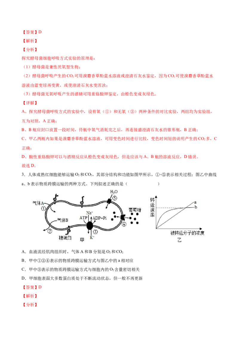 考向05细胞呼吸-备战2023年高考生物一轮复习考点微专题（全国通用）（解析版）(1)_通用版（老高考）复习资料_2023年复习资料_一轮复习