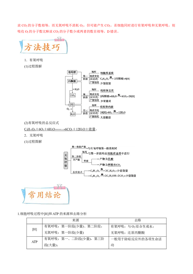 考向05细胞呼吸-备战2023年高考生物一轮复习考点微专题（全国通用）（解析版）(1)_通用版（老高考）复习资料_2023年复习资料_一轮复习
