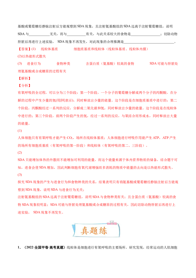 考向05细胞呼吸-备战2023年高考生物一轮复习考点微专题（全国通用）（解析版）(1)_通用版（老高考）复习资料_2023年复习资料_一轮复习