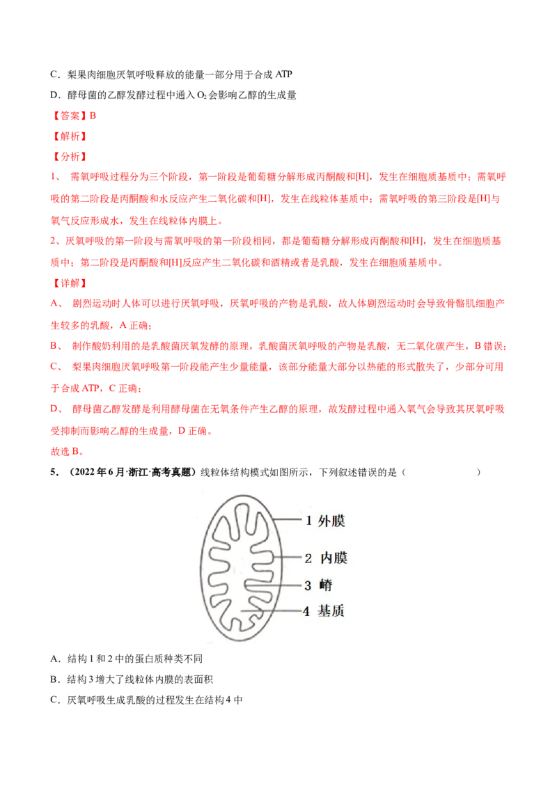 考向05细胞呼吸-备战2023年高考生物一轮复习考点微专题（全国通用）（解析版）(1)_通用版（老高考）复习资料_2023年复习资料_一轮复习