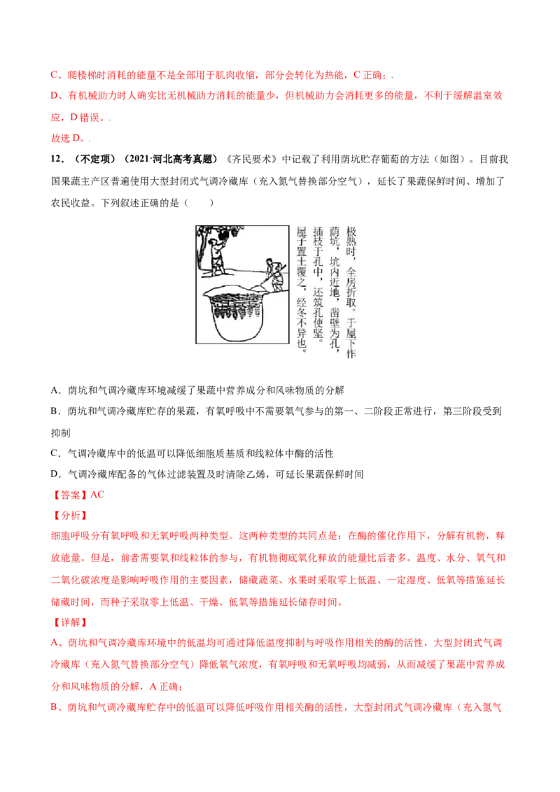 考向05细胞呼吸-备战2023年高考生物一轮复习考点微专题（全国通用）（解析版）(1)_通用版（老高考）复习资料_2023年复习资料_一轮复习
