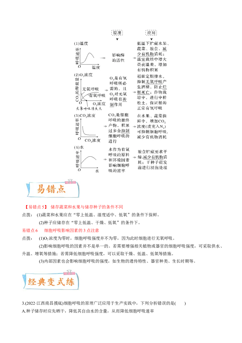 考向05细胞呼吸-备战2023年高考生物一轮复习考点微专题（全国通用）（解析版）(1)_通用版（老高考）复习资料_2023年复习资料_一轮复习