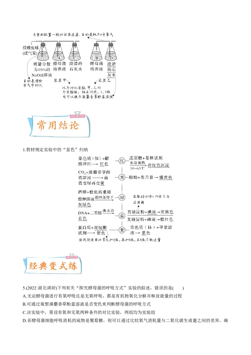 考向05细胞呼吸-备战2023年高考生物一轮复习考点微专题（全国通用）（解析版）(1)_通用版（老高考）复习资料_2023年复习资料_一轮复习