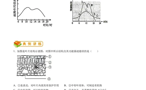 专题07绿色植物与生物圈的水循环-2022年中考生物一轮复习抓重点考典型（人教版）（解析版）_6生物中考复习_2023年中考复习资料_一轮复习_2022年中考生物一轮复习抓重点考典型（人教版）