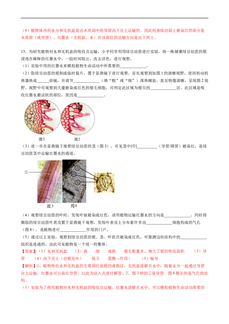 专题07绿色植物与生物圈的水循环-2022年中考生物一轮复习抓重点考典型（人教版）（解析版）_6生物中考复习_2023年中考复习资料_一轮复习_2022年中考生物一轮复习抓重点考典型（人教版）