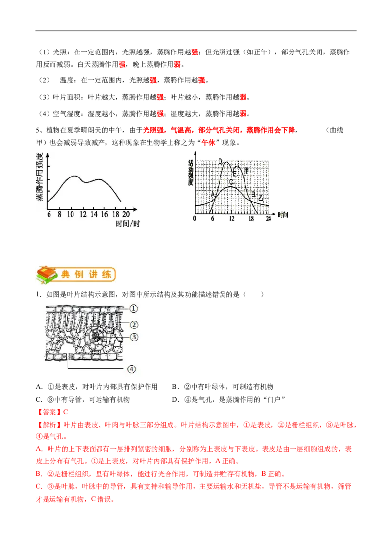 专题07绿色植物与生物圈的水循环-2022年中考生物一轮复习抓重点考典型（人教版）（解析版）_6生物中考复习_2023年中考复习资料_一轮复习_2022年中考生物一轮复习抓重点考典型（人教版）