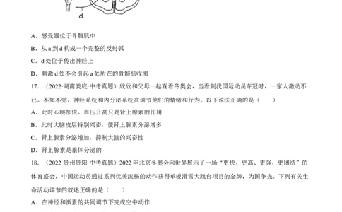 专题11人体生命活动的调节（习题帮）（原卷版）_6生物中考复习_2023年中考复习资料_一轮复习_备战2023年中考生物一轮复习考点帮（全国通用）288506454