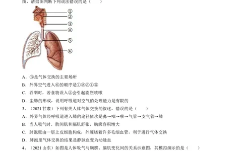 专题11人体的呼吸（原卷版）_6生物中考复习_2023年中考复习资料_一轮复习_2023年中考生物一轮复习讲练测_专题11人体的呼吸（专题精练）-2023年中考生物一轮复习讲练测