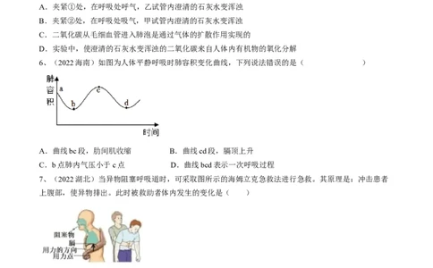 专题11人体的呼吸（原卷版）_6生物中考复习_2023年中考复习资料_一轮复习_2023年中考生物一轮复习讲练测_专题11人体的呼吸（专题精练）-2023年中考生物一轮复习讲练测