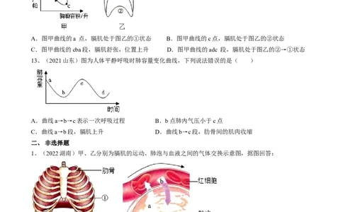 专题11人体的呼吸（原卷版）_6生物中考复习_2023年中考复习资料_一轮复习_2023年中考生物一轮复习讲练测_专题11人体的呼吸（专题精练）-2023年中考生物一轮复习讲练测