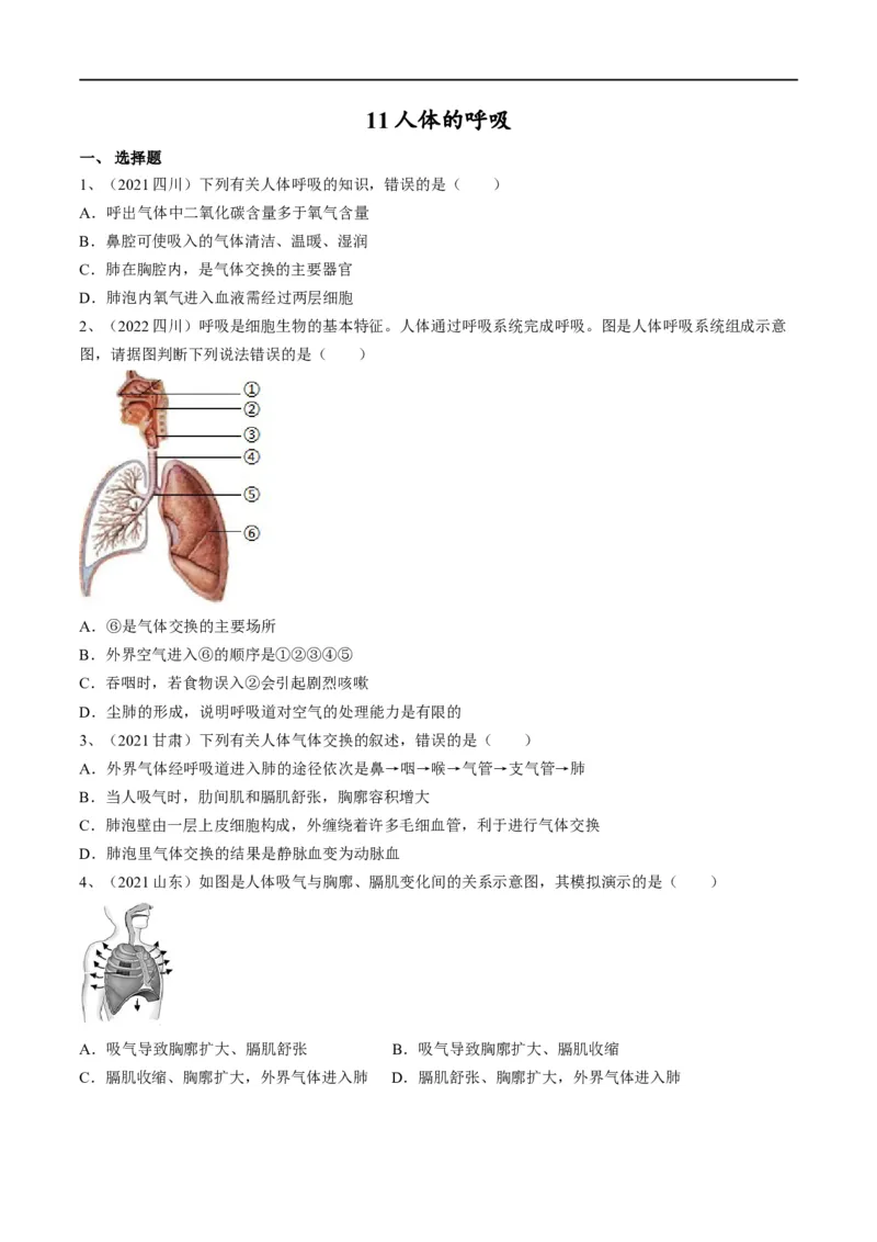 专题11人体的呼吸（原卷版）_6生物中考复习_2023年中考复习资料_一轮复习_2023年中考生物一轮复习讲练测_专题11人体的呼吸（专题精练）-2023年中考生物一轮复习讲练测