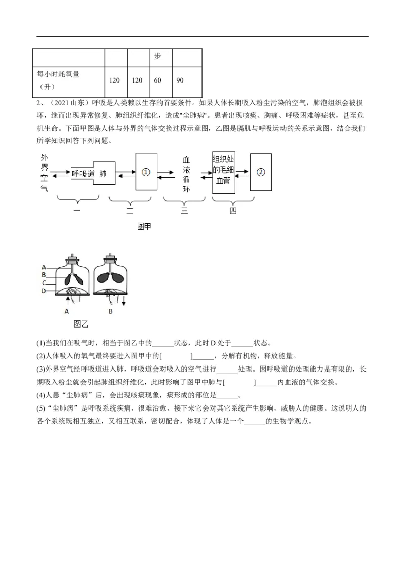 专题11人体的呼吸（原卷版）_6生物中考复习_2023年中考复习资料_一轮复习_2023年中考生物一轮复习讲练测_专题11人体的呼吸（专题精练）-2023年中考生物一轮复习讲练测