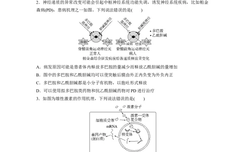 考前特训　专项二(六)个体稳态与调节_通用版（老高考）复习资料_2023年复习资料_二轮复习_2023年高考生物二轮复习讲义+课件（全国版）_2023年高考生物二轮复习讲义（全国版）_学生版