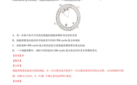 考向07细胞的生命历程-备战2023年高考生物一轮复习考点微专题（全国通用）（解析版）(1)_通用版（老高考）复习资料_2023年复习资料_一轮复习
