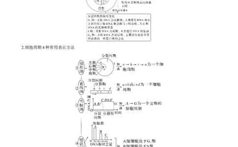 考向07细胞的生命历程-备战2023年高考生物一轮复习考点微专题（全国通用）（解析版）(1)_通用版（老高考）复习资料_2023年复习资料_一轮复习
