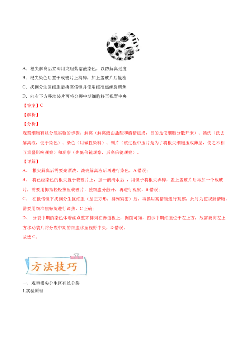 考向07细胞的生命历程-备战2023年高考生物一轮复习考点微专题（全国通用）（解析版）(1)_通用版（老高考）复习资料_2023年复习资料_一轮复习
