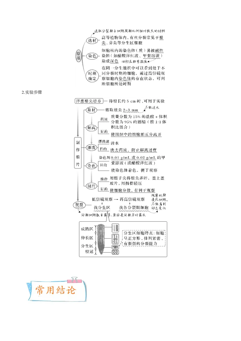 考向07细胞的生命历程-备战2023年高考生物一轮复习考点微专题（全国通用）（解析版）(1)_通用版（老高考）复习资料_2023年复习资料_一轮复习