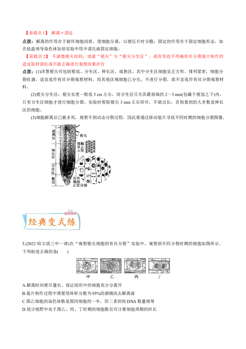 考向07细胞的生命历程-备战2023年高考生物一轮复习考点微专题（全国通用）（解析版）(1)_通用版（老高考）复习资料_2023年复习资料_一轮复习