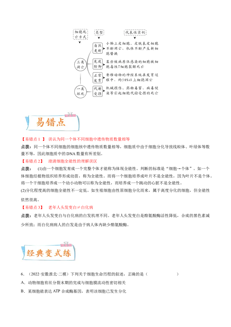 考向07细胞的生命历程-备战2023年高考生物一轮复习考点微专题（全国通用）（解析版）(1)_通用版（老高考）复习资料_2023年复习资料_一轮复习