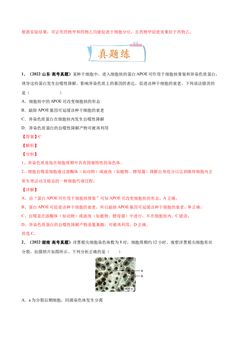 考向07细胞的生命历程-备战2023年高考生物一轮复习考点微专题（全国通用）（解析版）(1)_通用版（老高考）复习资料_2023年复习资料_一轮复习