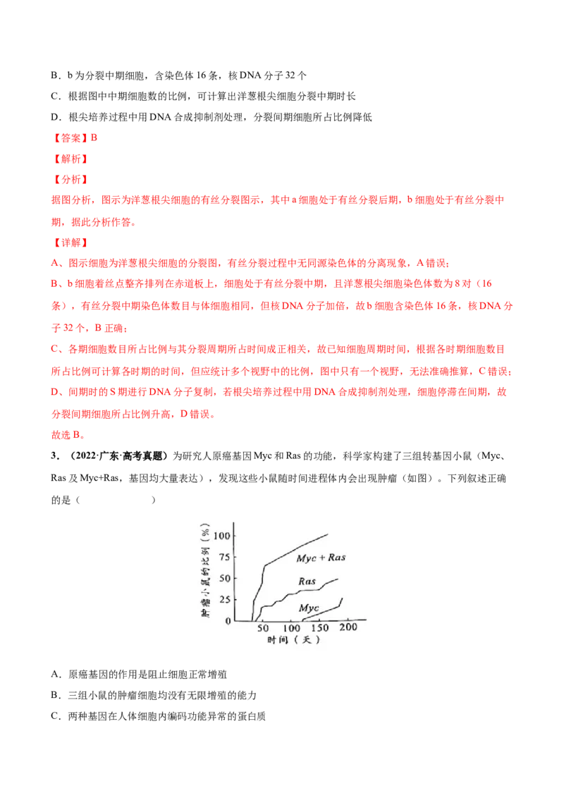 考向07细胞的生命历程-备战2023年高考生物一轮复习考点微专题（全国通用）（解析版）(1)_通用版（老高考）复习资料_2023年复习资料_一轮复习