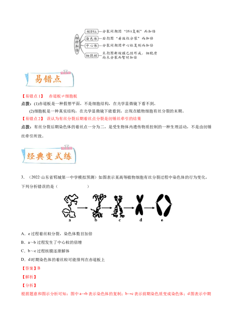 考向07细胞的生命历程-备战2023年高考生物一轮复习考点微专题（全国通用）（解析版）(1)_通用版（老高考）复习资料_2023年复习资料_一轮复习