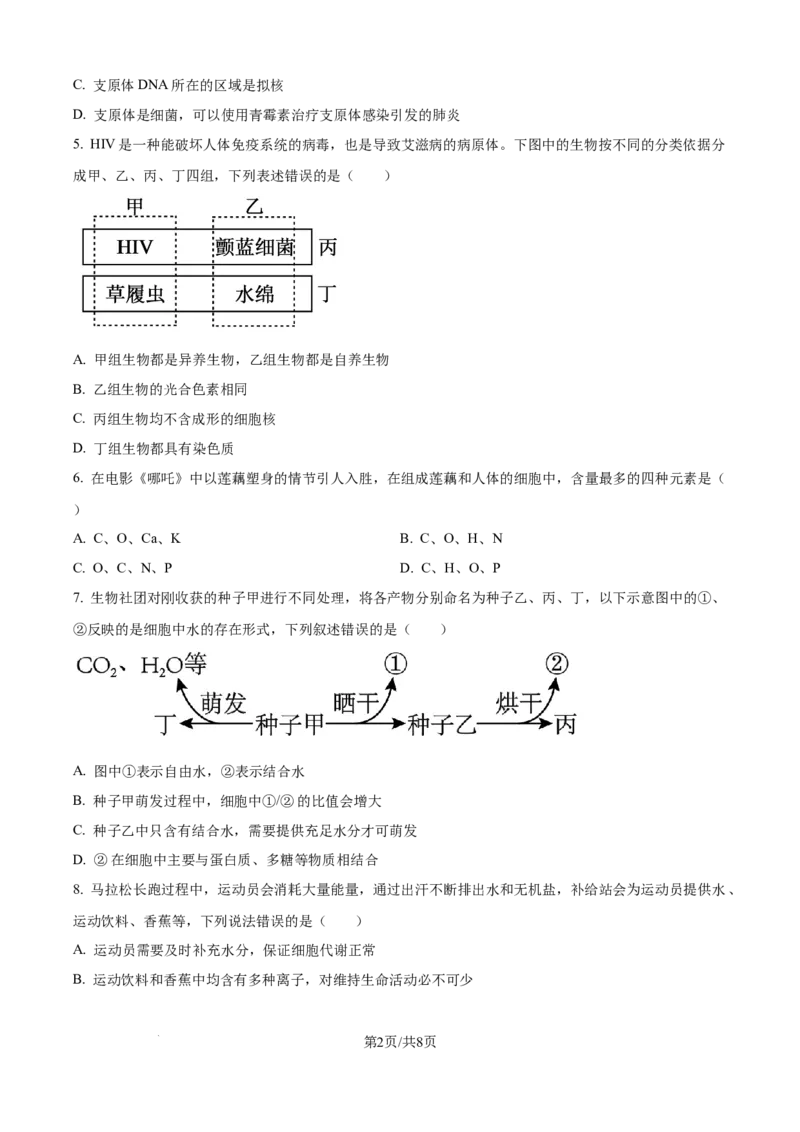 精品解析：河北省NT20联考2025-2026学年高一上学期10月月考生物试题（原卷版）_2025年10月高一试卷_251029河北省NT20名校联合体2025-2026学年高一上学期10月联考