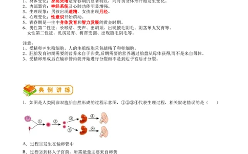 专题09人的由来-2022年中考生物一轮复习抓重点考典型（人教版）（解析版）_6生物中考复习_2023年中考复习资料_一轮复习_2022年中考生物一轮复习抓重点考典型（人教版）