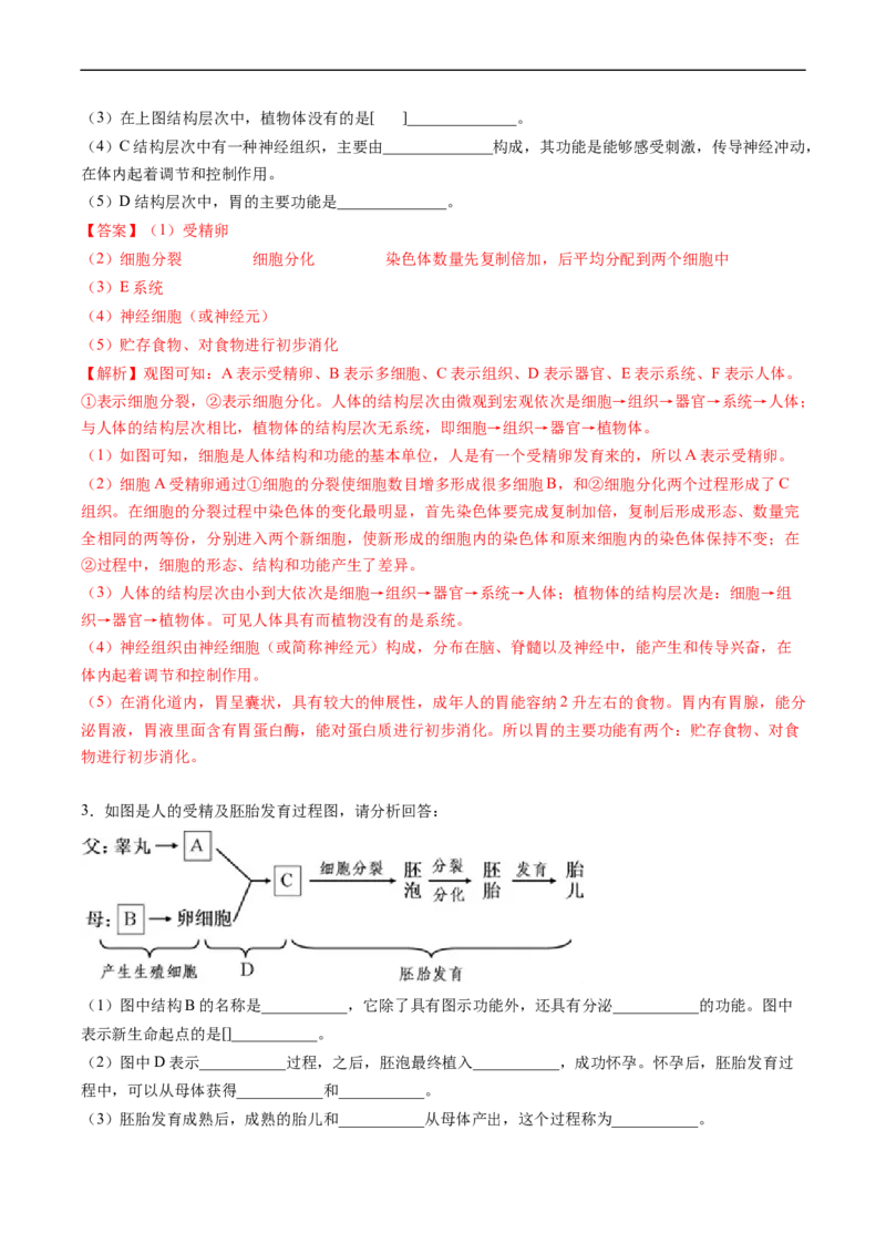 专题09人的由来-2022年中考生物一轮复习抓重点考典型（人教版）（解析版）_6生物中考复习_2023年中考复习资料_一轮复习_2022年中考生物一轮复习抓重点考典型（人教版）