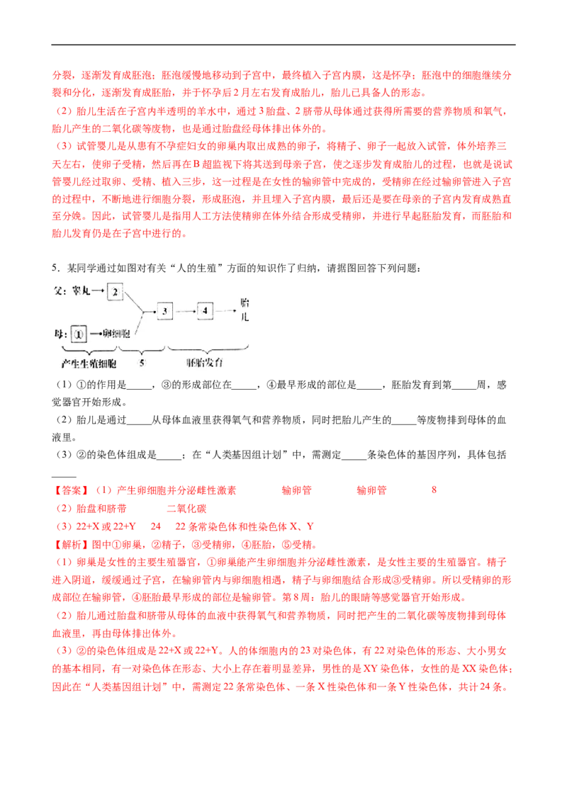 专题09人的由来-2022年中考生物一轮复习抓重点考典型（人教版）（解析版）_6生物中考复习_2023年中考复习资料_一轮复习_2022年中考生物一轮复习抓重点考典型（人教版）