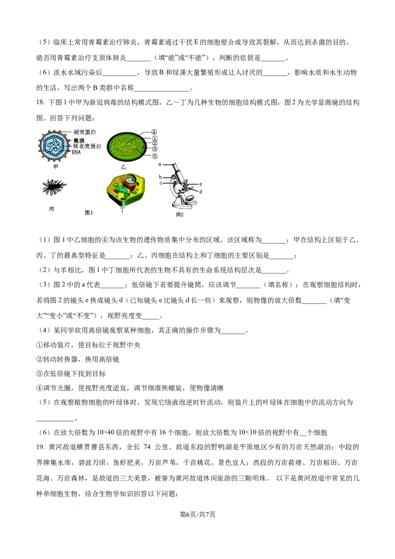 精品解析：山西省朔州市大地高中2025-2026学年高一上学期第一次月考生物试题（原卷版）_2025年10月高一试卷_251011山西省朔州市怀仁市大地高中学校2025-2026学年高一上学期第一次月考