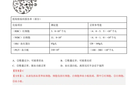 专题10人体内物质的运输和废物的排出（习题帮）（解析版）_6生物中考复习_2023年中考复习资料_一轮复习_备战2023年中考生物一轮复习考点帮（全国通用）288506454