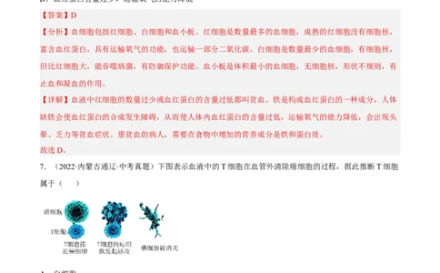专题10人体内物质的运输和废物的排出（习题帮）（解析版）_6生物中考复习_2023年中考复习资料_一轮复习_备战2023年中考生物一轮复习考点帮（全国通用）288506454