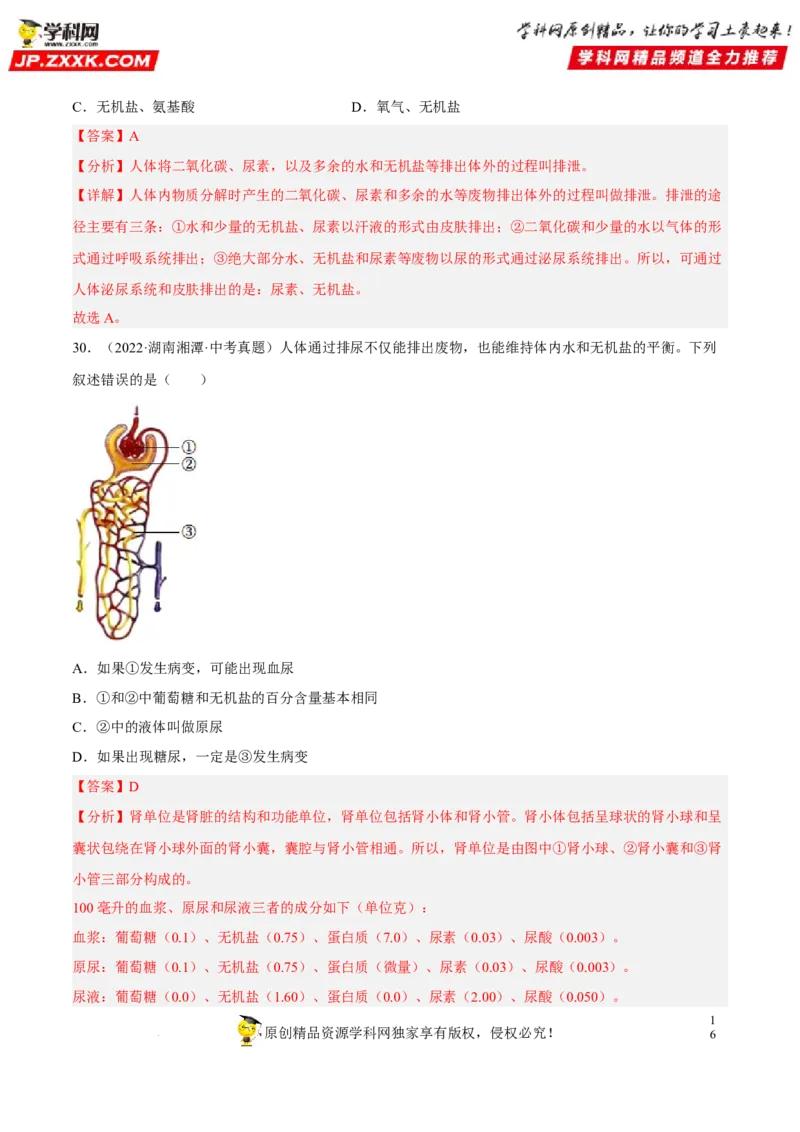 专题10人体内物质的运输和废物的排出（习题帮）（解析版）_6生物中考复习_2023年中考复习资料_一轮复习_备战2023年中考生物一轮复习考点帮（全国通用）288506454
