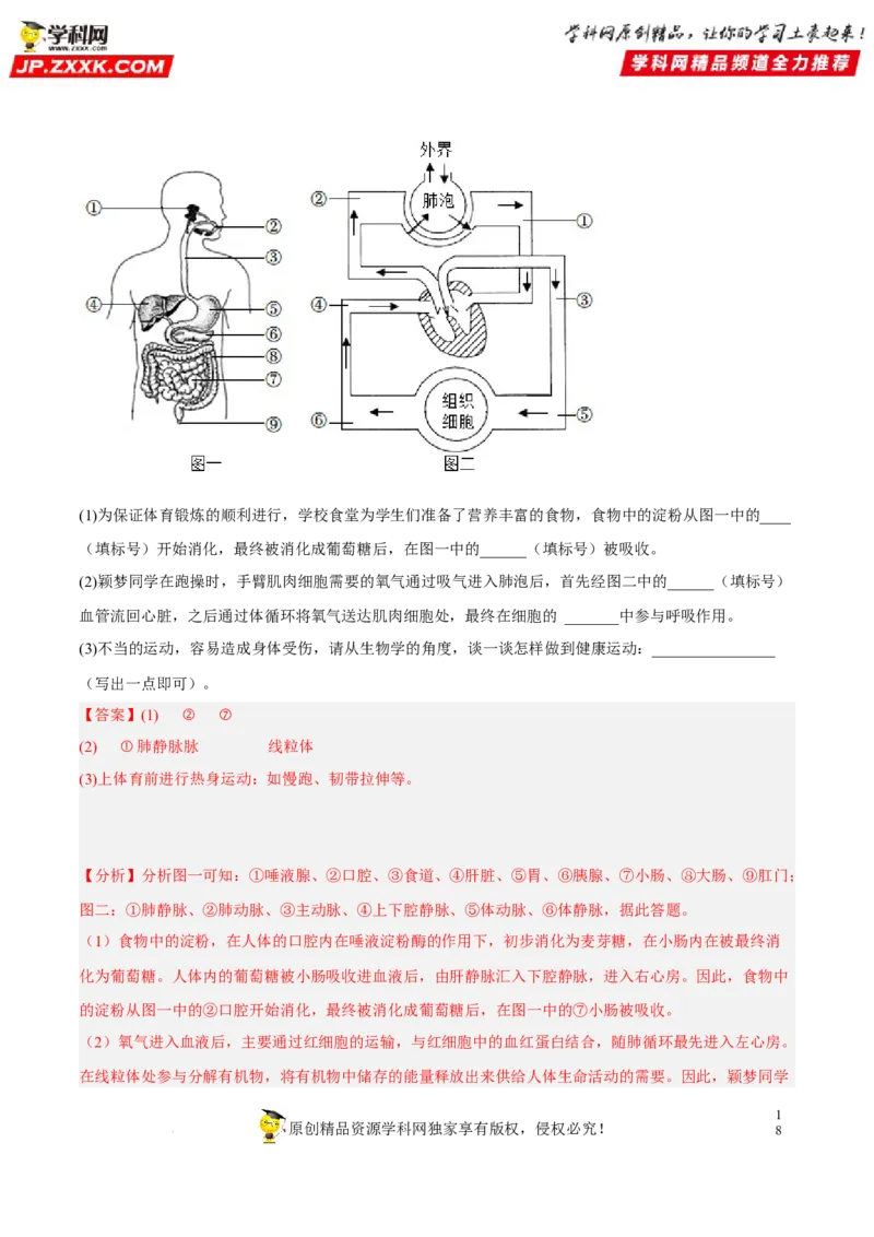 专题10人体内物质的运输和废物的排出（习题帮）（解析版）_6生物中考复习_2023年中考复习资料_一轮复习_备战2023年中考生物一轮复习考点帮（全国通用）288506454