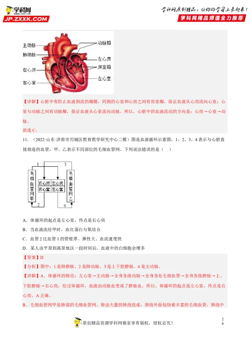 专题10人体内物质的运输和废物的排出（习题帮）（解析版）_6生物中考复习_2023年中考复习资料_一轮复习_备战2023年中考生物一轮复习考点帮（全国通用）288506454