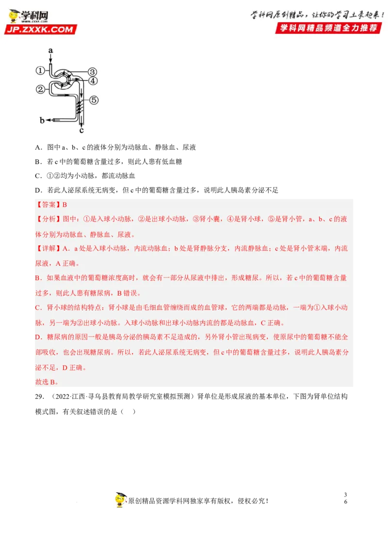 专题10人体内物质的运输和废物的排出（习题帮）（解析版）_6生物中考复习_2023年中考复习资料_一轮复习_备战2023年中考生物一轮复习考点帮（全国通用）288506454