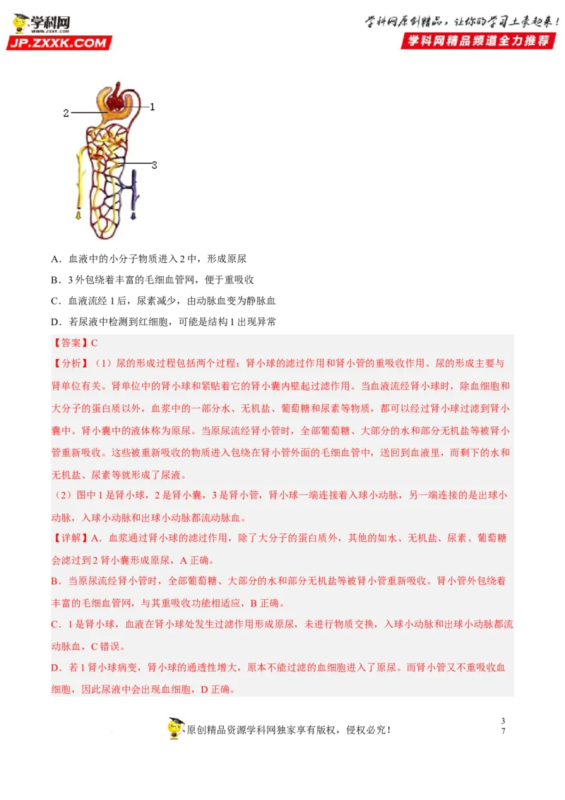 专题10人体内物质的运输和废物的排出（习题帮）（解析版）_6生物中考复习_2023年中考复习资料_一轮复习_备战2023年中考生物一轮复习考点帮（全国通用）288506454