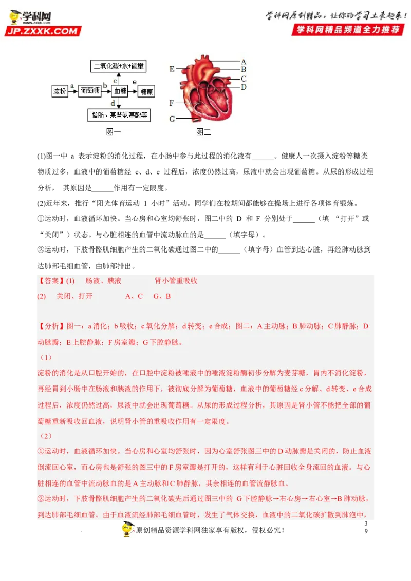 专题10人体内物质的运输和废物的排出（习题帮）（解析版）_6生物中考复习_2023年中考复习资料_一轮复习_备战2023年中考生物一轮复习考点帮（全国通用）288506454
