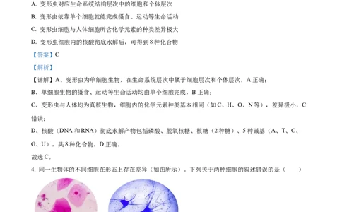 精品解析：河南省TOP二十校205&mdash;2026学年高一上学期10月联考生物试题（解析版）_2025年10月高一试卷_251025河南省TOP二十名校2025-2026学年高一上学期10月调研考试（全）