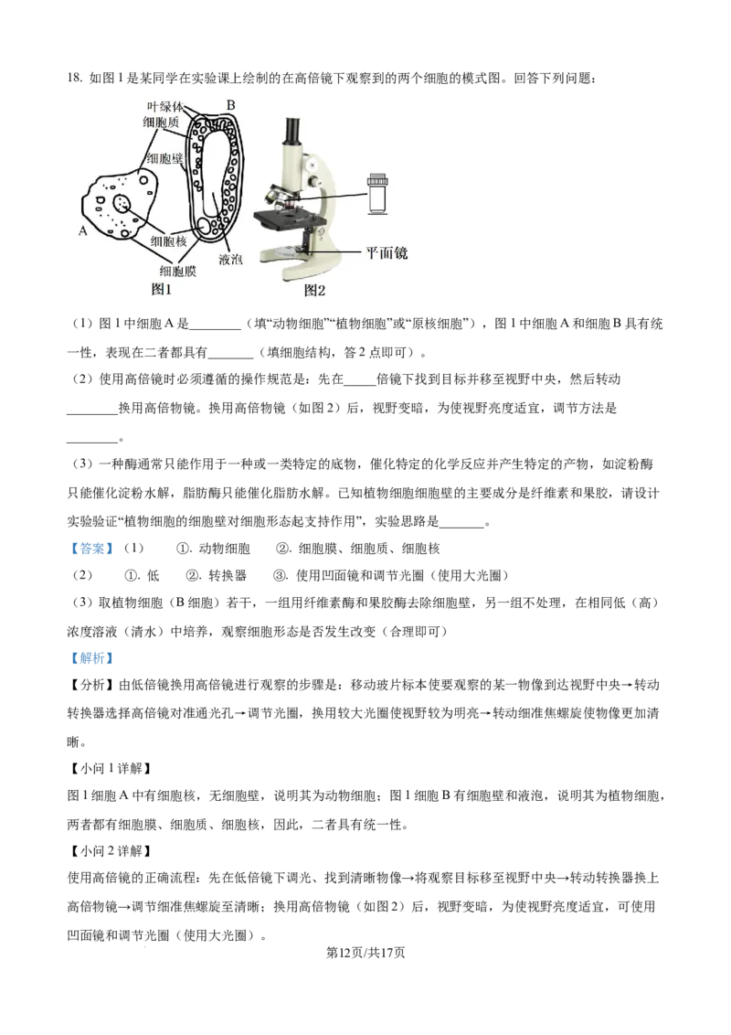 精品解析：河南省TOP二十校205&mdash;2026学年高一上学期10月联考生物试题（解析版）_2025年10月高一试卷_251025河南省TOP二十名校2025-2026学年高一上学期10月调研考试（全）
