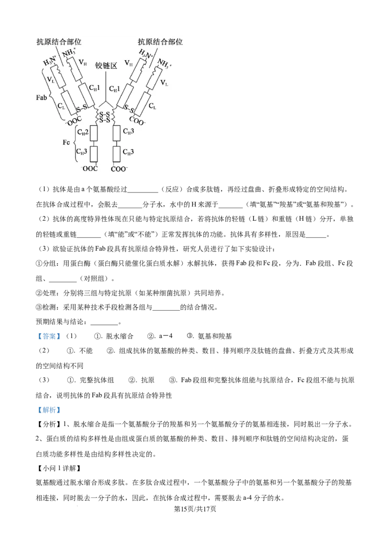 精品解析：河南省TOP二十校205&mdash;2026学年高一上学期10月联考生物试题（解析版）_2025年10月高一试卷_251025河南省TOP二十名校2025-2026学年高一上学期10月调研考试（全）