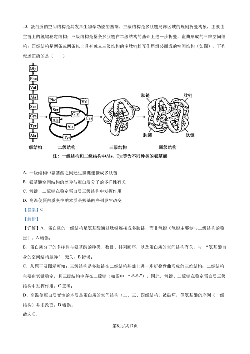精品解析：河南省TOP二十校205&mdash;2026学年高一上学期10月联考生物试题（解析版）_2025年10月高一试卷_251025河南省TOP二十名校2025-2026学年高一上学期10月调研考试（全）