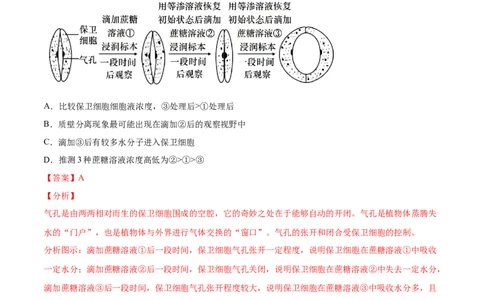 考向03细胞内物质输入和输出-备战2023年高考生物一轮复习考点微专题（全国通用）（解析版）(1)_通用版（老高考）复习资料_2023年复习资料_一轮复习