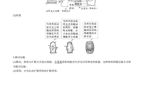 考向03细胞内物质输入和输出-备战2023年高考生物一轮复习考点微专题（全国通用）（解析版）(1)_通用版（老高考）复习资料_2023年复习资料_一轮复习