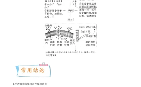 考向03细胞内物质输入和输出-备战2023年高考生物一轮复习考点微专题（全国通用）（解析版）(1)_通用版（老高考）复习资料_2023年复习资料_一轮复习