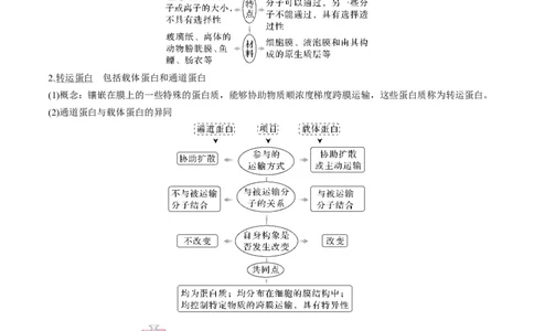 考向03细胞内物质输入和输出-备战2023年高考生物一轮复习考点微专题（全国通用）（解析版）(1)_通用版（老高考）复习资料_2023年复习资料_一轮复习
