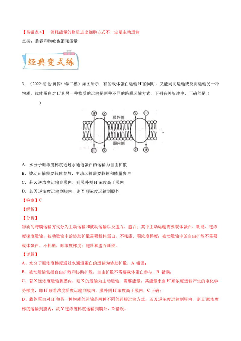 考向03细胞内物质输入和输出-备战2023年高考生物一轮复习考点微专题（全国通用）（解析版）(1)_通用版（老高考）复习资料_2023年复习资料_一轮复习